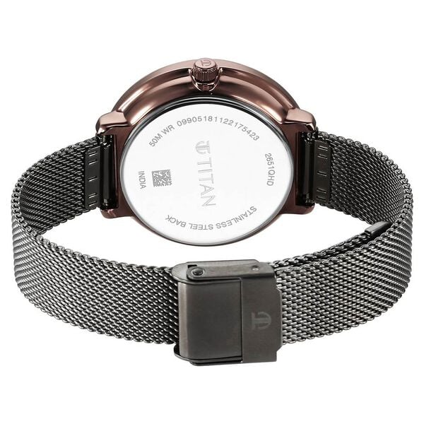 Titan 1849KM01 Quartz Analog Anthracite Dial 41 mm Stainless Steel Case Stainless Steel Mesh Strap Men Watch