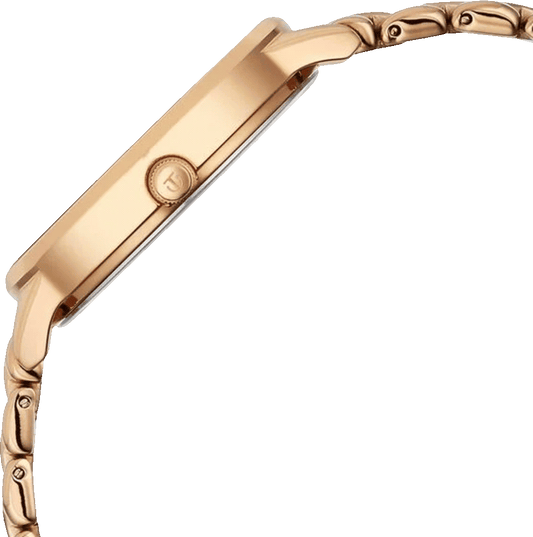 Titan 2648WM12 Neo Quartz Analog Grey Dial Rose Gold Metal Strap Women's Watch
