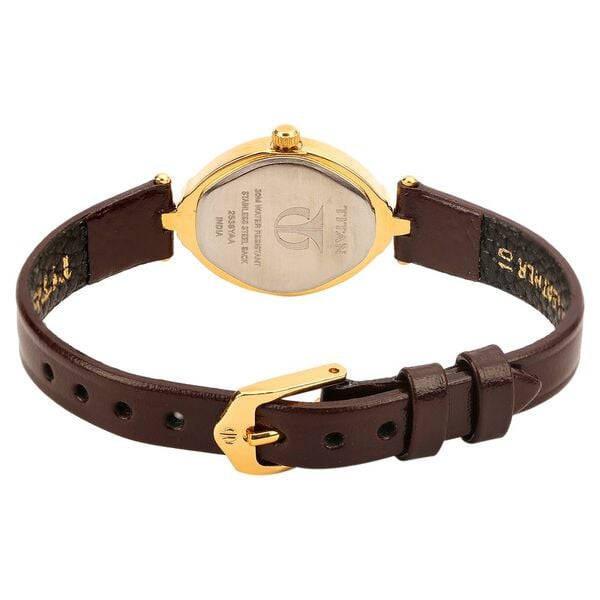 Titan 2538YL02 Brown Dial Analog Watch for Women – Brown Leather Strap, Quartz Movement
