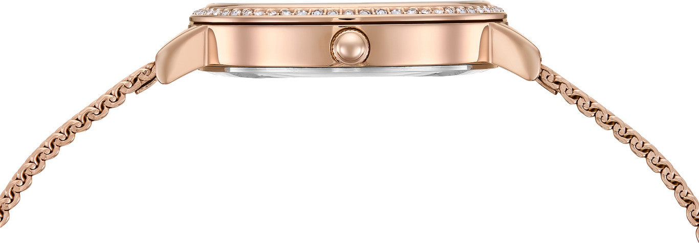 Daniel Wellington DW0DL3201 Silver Dial Women's Rose Gold Stainless Steel Watch