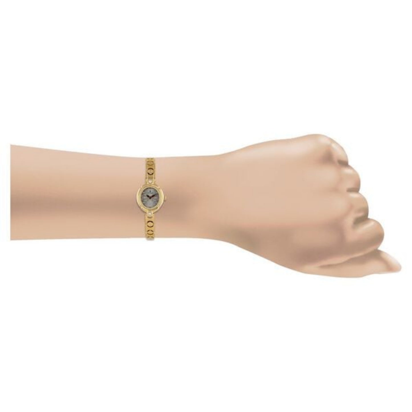 Titan 2467YM01 Quartz Analog Silver Dial Watch for Women, Golden Stainless Steel Strap