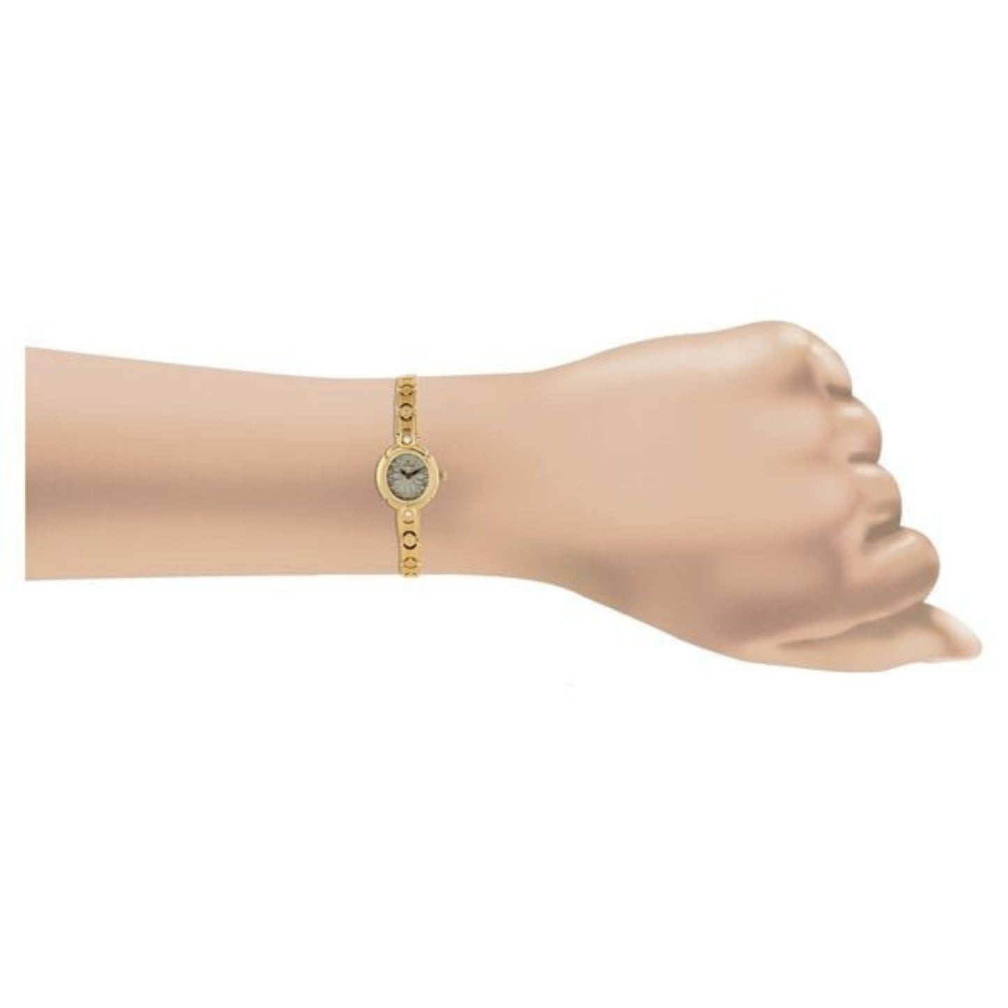 Titan 2467YM02 Quartz Analog Champagne Dial Watch for Women, Golden Stainless Steel Strap