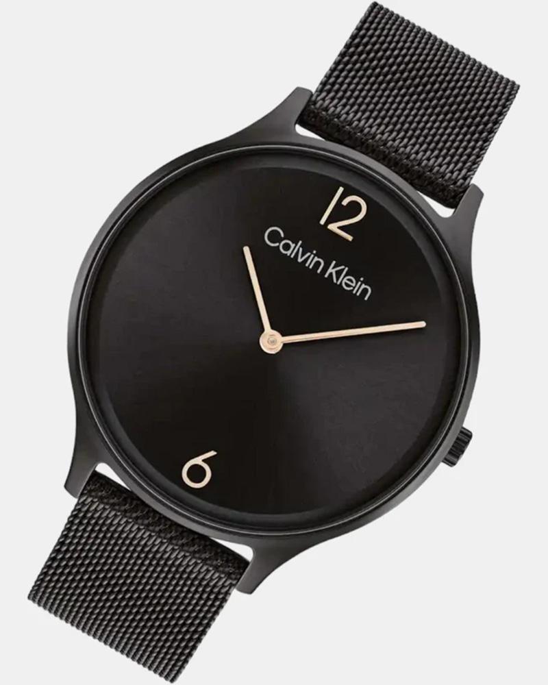 Calvin Klein Timeless Black Dial Mesh Strap Women’s Analog Quartz Watch 25200004