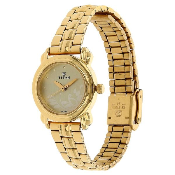 Titan 2534YM01 Champagne Dial Analog Watch for Women – Golden Stainless Steel Strap, Quartz Movement