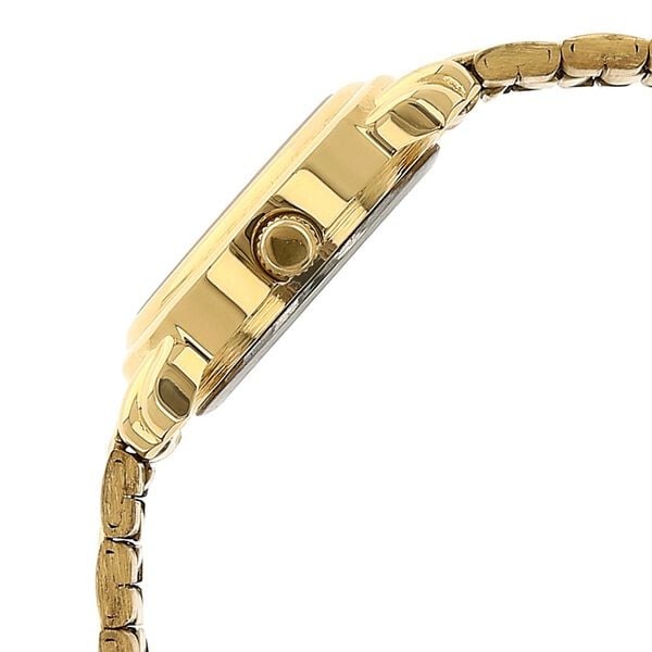Titan 2534YM01 Champagne Dial Analog Watch for Women – Golden Stainless Steel Strap, Quartz Movement
