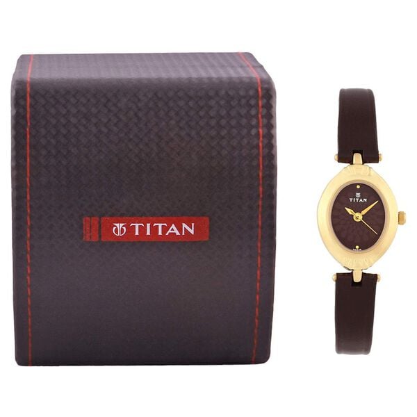 Titan 2538YL02 Women’s Brown Dial Leather Strap Analog Watch
