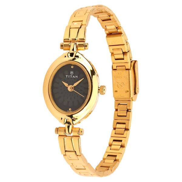 Titan 2538YM02 Women’s Black-Dial Analog Watch with Stainless Steel