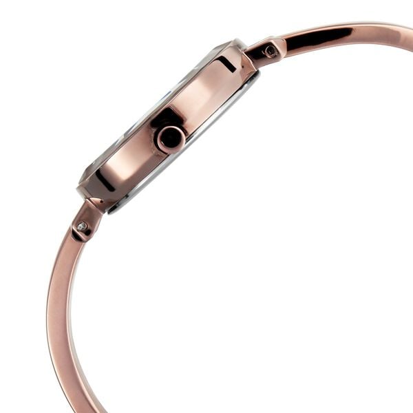 Titan 2575QM02 Brown Dial Analog Quartz Metal Strap Women’s Watch – Round Case, Classic Design