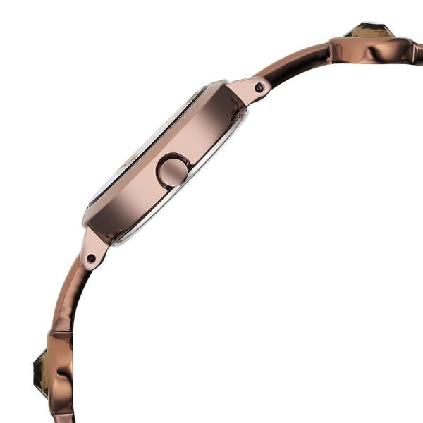 Titan 2576QM01 Raga Viva Analog Quartz Women’s Watch with Rose Gold Dial and Brown Metal Strap