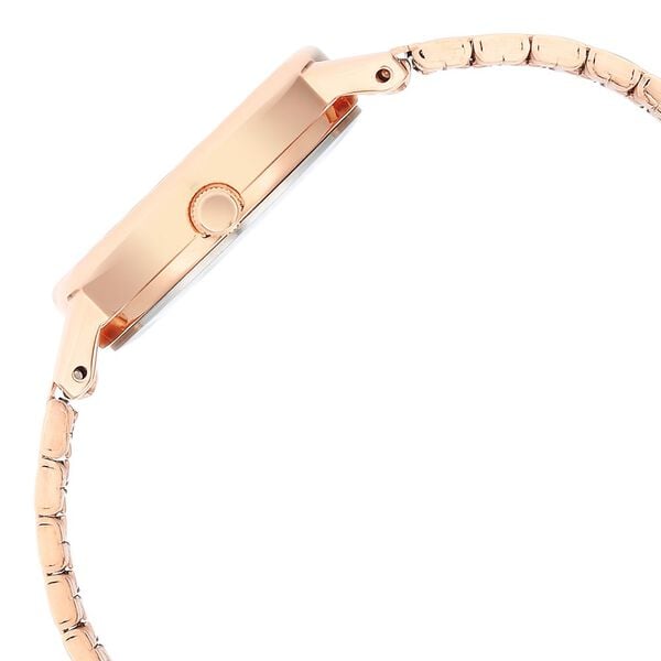 Titan 2678WM01 Women Rose Gold Dial Metal Strap Quartz Watch