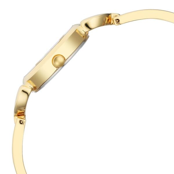 Titan 2724YM01 Women’s Quartz Analog Dial Golden Watch with Metal Strap