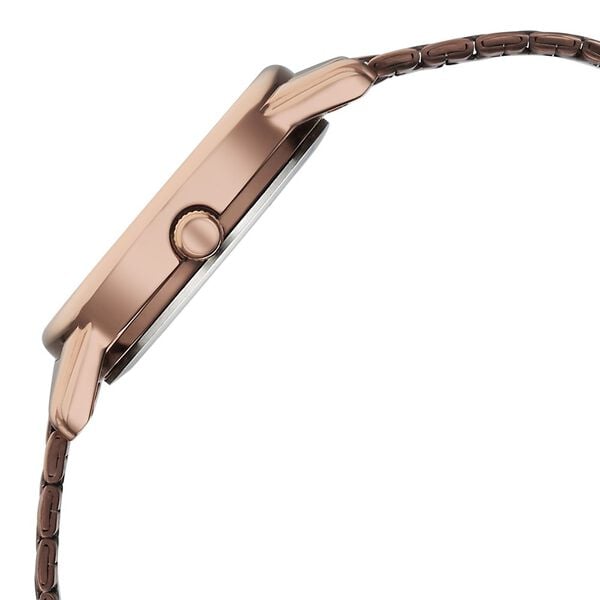 Titan 2760QM02 Women’s Brown-Dial Analog Watch with Brown Stainless-Steel Strap