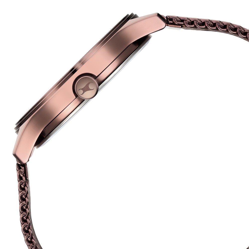 Fastrack 3247QM02 Men Quartz Analog Brown Dial Stainless Steel Mesh Strap Watch