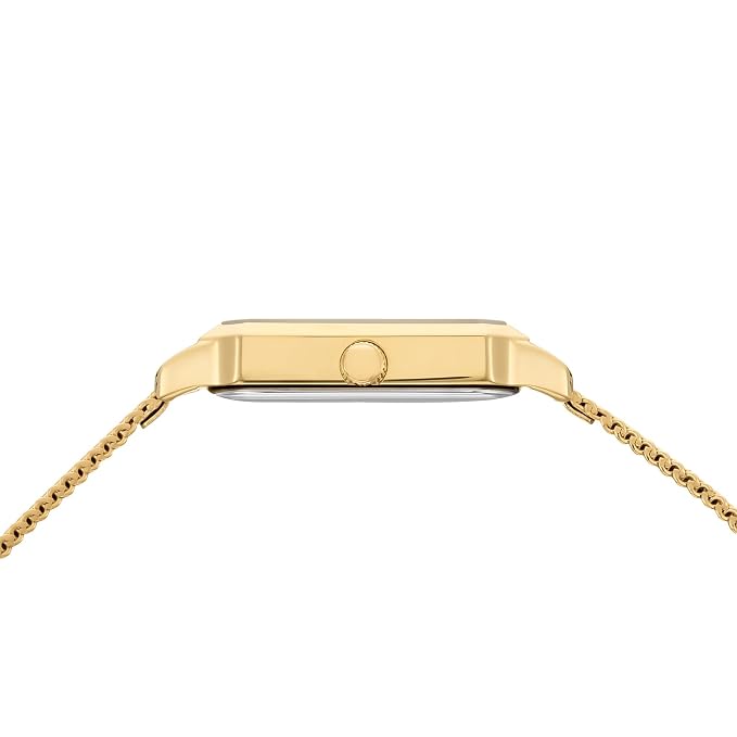 Daniel Wellington DW0DL2600 Green Dial Women's Gold Stainless Steel Analog Watch