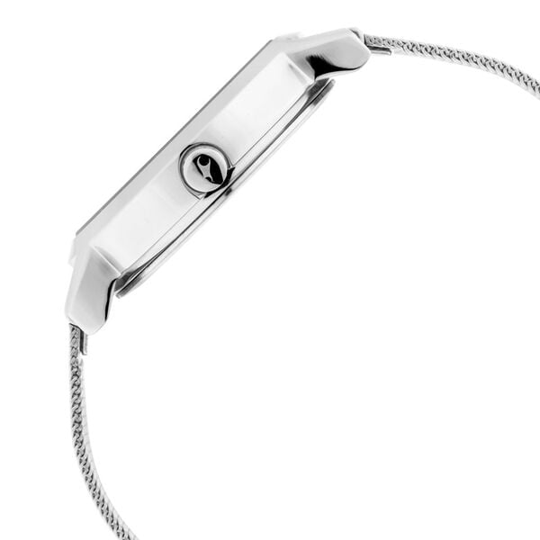 Fastrack 6222SM03 Analog Quartz Women Watch – Silver Dial, Silver Stainless Steel Mesh Strap, Animal Print Design