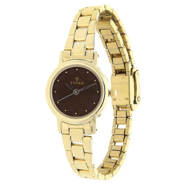 Titan 917YM13 Women’s Brown Dial Analog Watch with Stainless Steel Strap