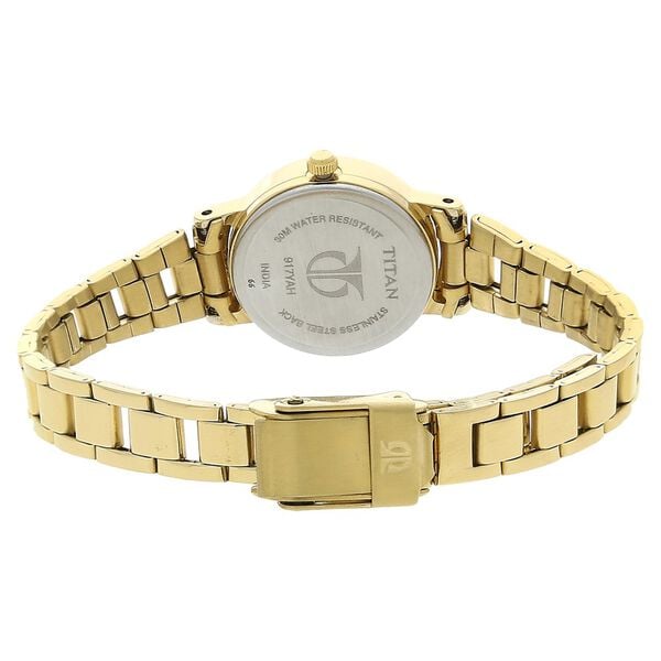 Titan 917YM13 Women’s Brown Dial Analog Watch with Stainless Steel Strap
