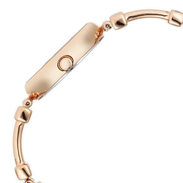 Titan 95263WM01 Women’s Rose-Gold Dial Analog Watch with Rose-Gold Metal Strap