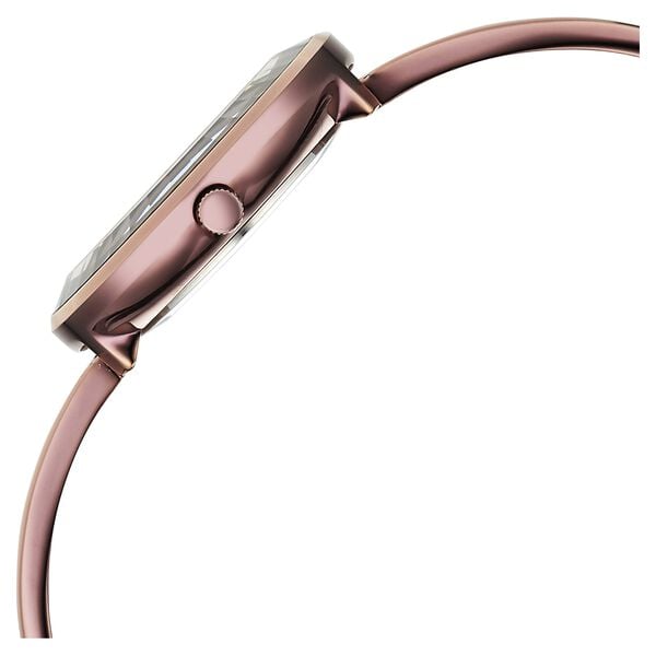 Titan 95276QM01 Brown Dial Analog Watch for Women – Brown Metal Bracelet, Quartz Movement, Mineral Glass, Round Case