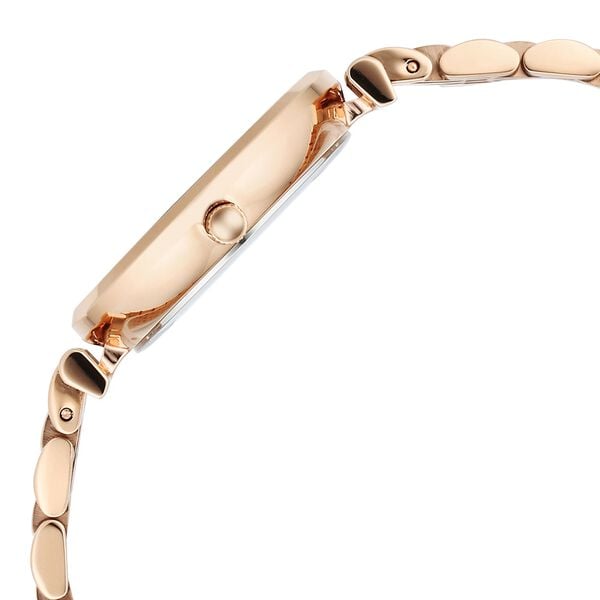 Titan 95313WM01 Women’s Grey-Dial Analog Watch with Rose-Gold Metal Strap
