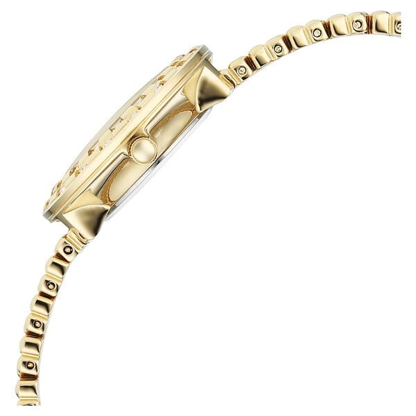 Titan 95350YM01 Quartz Analog Champagne Dial Gold Metal Strap Female Watch