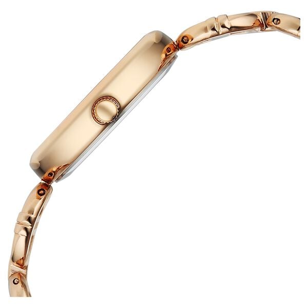 Titan 95353WM01 Women’s Rose-Gold Dial Analog Watch with Rose-Gold Metal Strap
