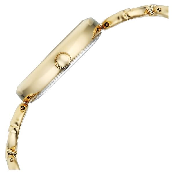 Titan 95353YM01 Women’s Champagne-Dial Analog Watch with Gold Metal Strap