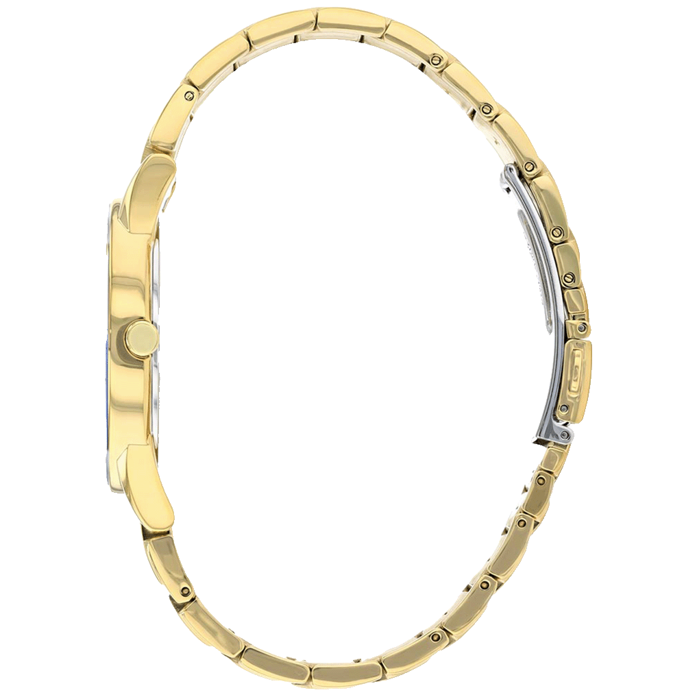 Citizen AU106256E Eco-Drive Quartz Analog Black Dial with Gold-Tone Stainless Steel Watch for Men