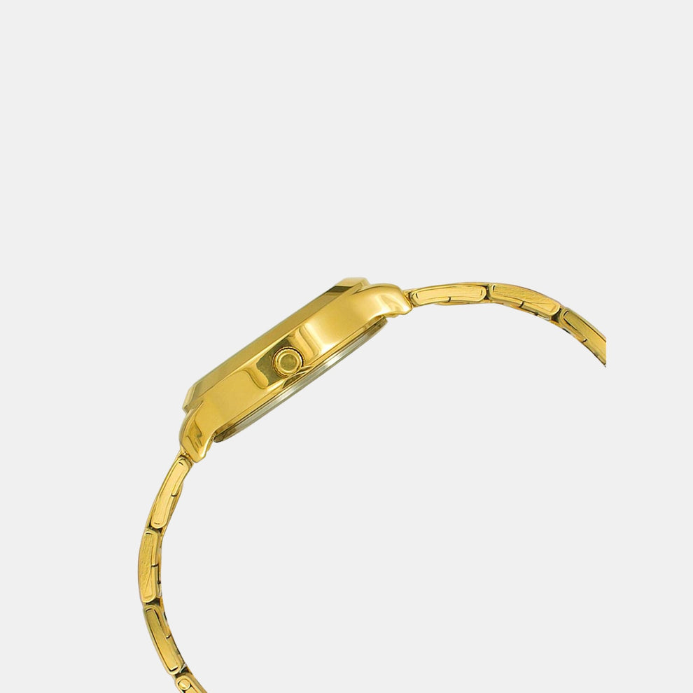 Timex TW000T635 Women’s Analog Quartz Watch Gold-Tone Stainless Steel Bracelet, Silver Dial