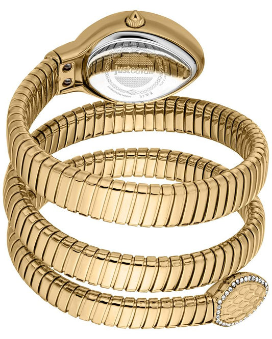 Just Cavalli JC1L372M0035 Carezza Women’s Dark Green Dial Stainless Steel Fashion Watch