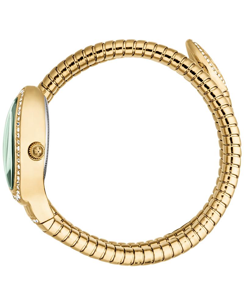 Just Cavalli JC1L372M0035 Carezza Women’s Dark Green Dial Stainless Steel Fashion Watch